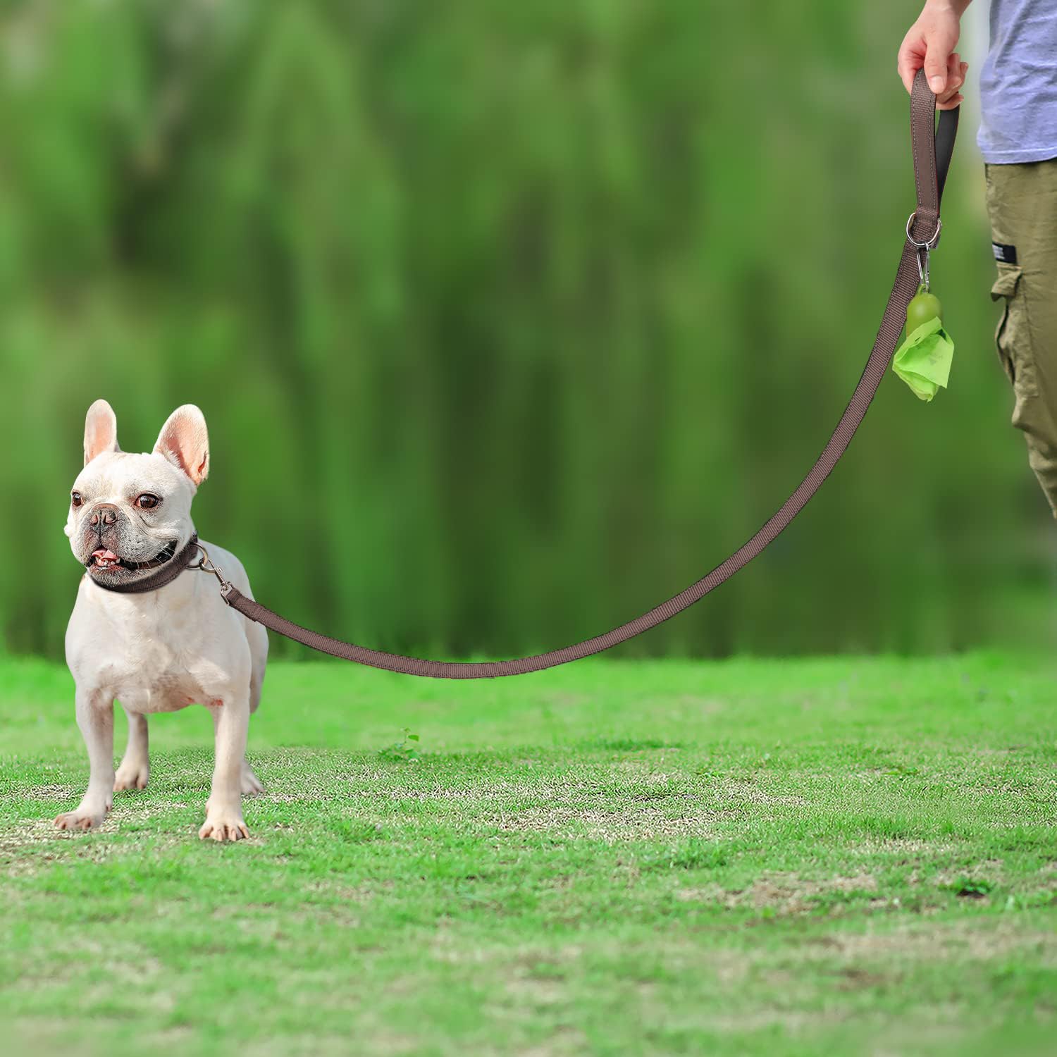 Joytale 4ft brown double-sided reflective leash for compact training spaces