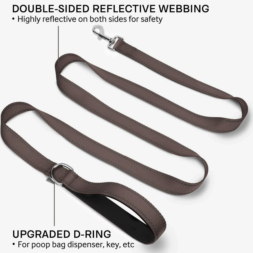 Joytale 5ft brown double-sided reflective leash for versatile control