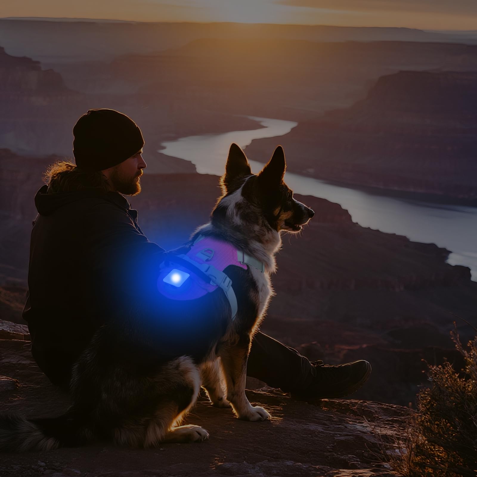 Joytale dual D-rings and top handle for versatile leash control