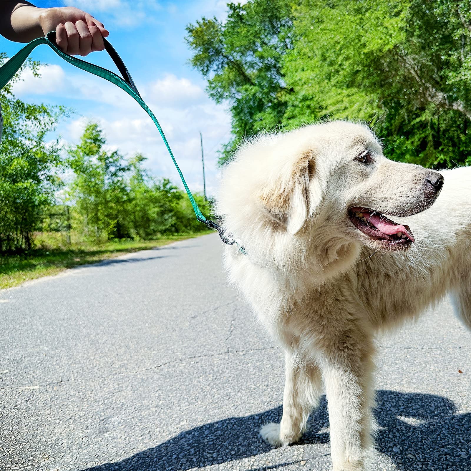 Joytale durable nylon 1-inch leash withstands strong pulls and daily use.