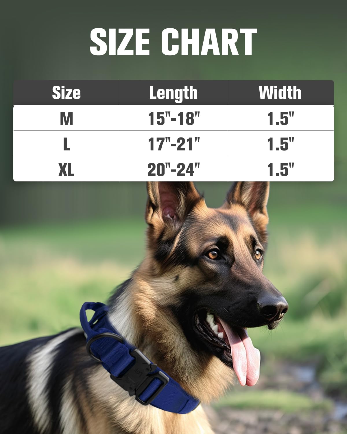 Joytale durable nylon dog collar designed to withstand strong dogs during training and patrols.