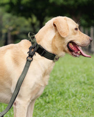 Close-up of Joytale collar buckle highlighting zinc alloy quick-release for heavy-duty use.