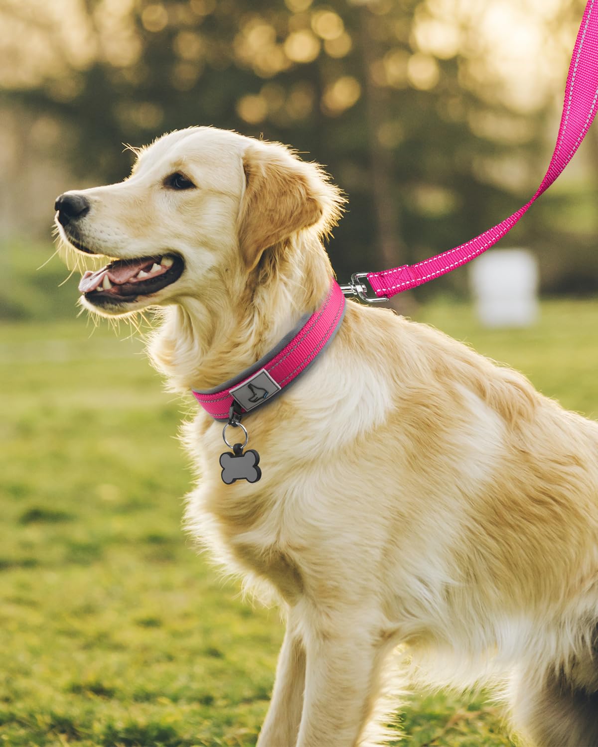 Joytale heavy-duty dog collar features a durable metal buckle for secure control.