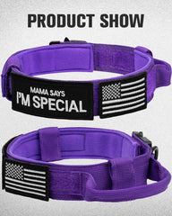 Joytale heavy-duty nylon 1000 denier collar designed for strong, active dogs.