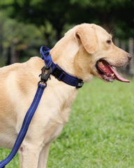 Joytale heavy-duty nylon dog collar with quick-release buckle for durable daily use.