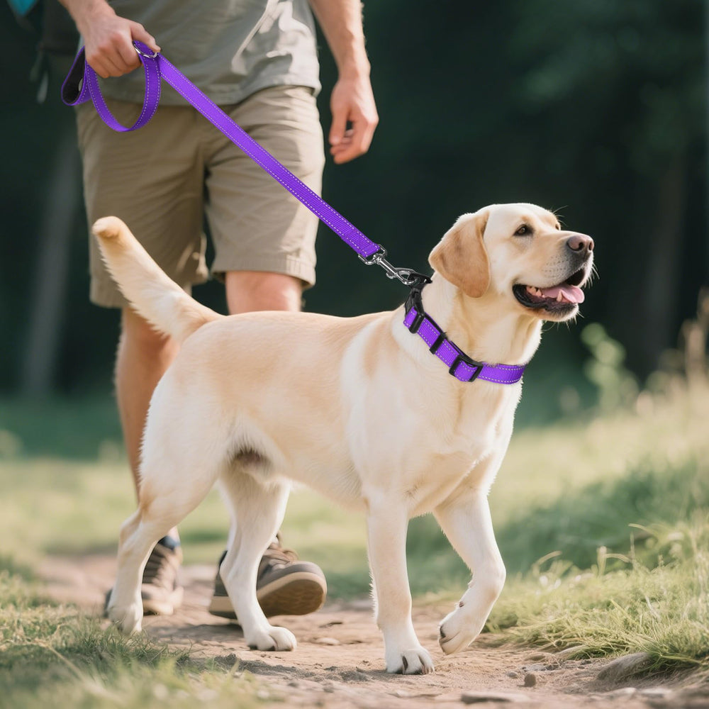 Joytale adjustable large-dog collar suitable for hiking and swimming