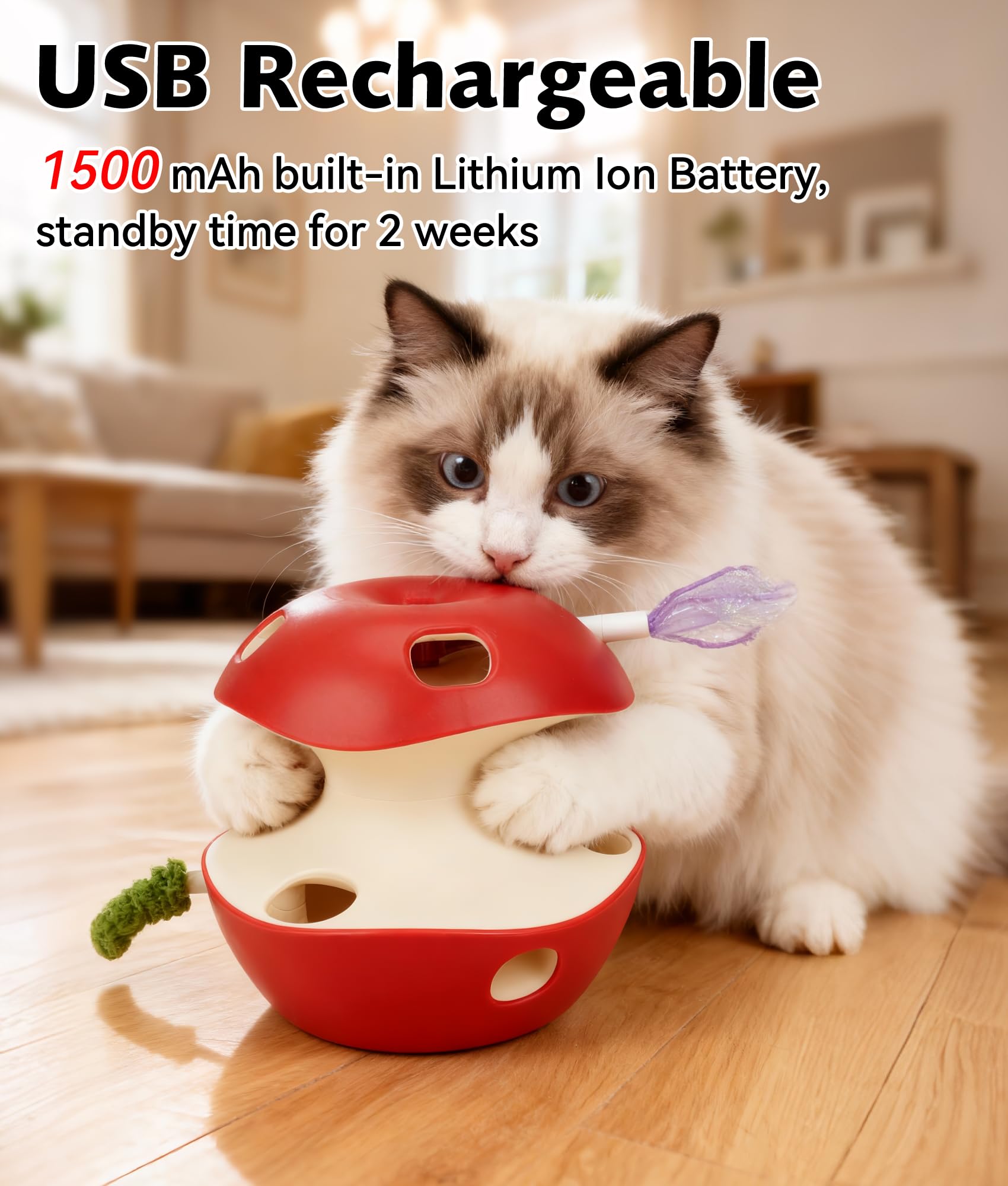 Joytale interactive cat toy features fluttering butterfly wings for eye-catching chase sessions.