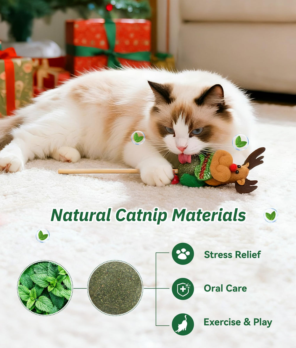 Joytale interactive catnip wand bell draws attention for chase