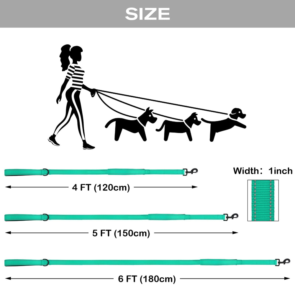 Joytale teal leash highlighting heavy stitching for longevity
