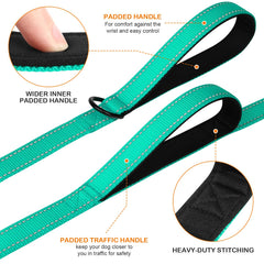 Joytale teal leash showing traffic handle for crowd navigation