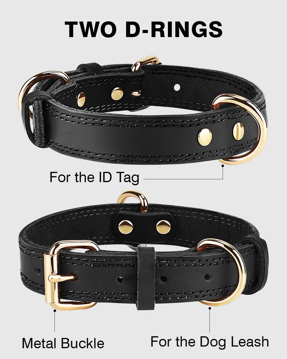 Joytale collar showcases two D-rings for leash and ID tag organization.