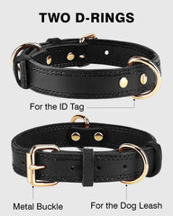 Joytale collar showcases two D-rings for leash and ID tag organization.