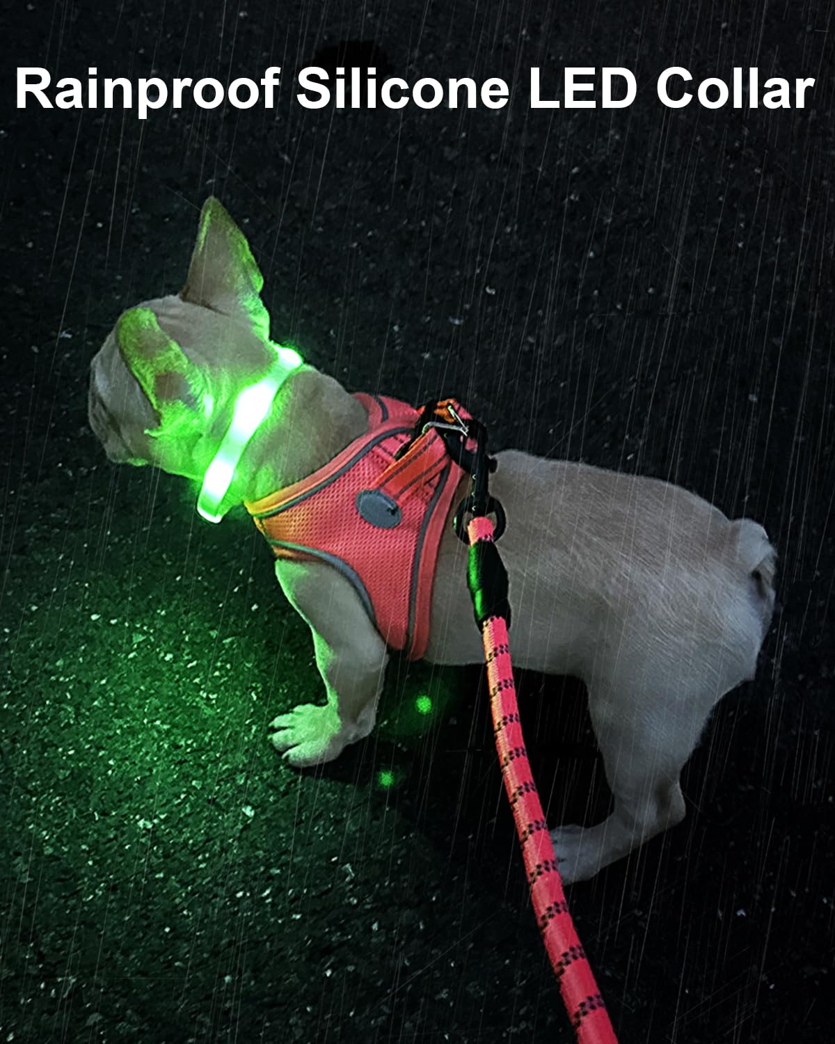 Joytale LED dog collar with seven colors for high visibility.
