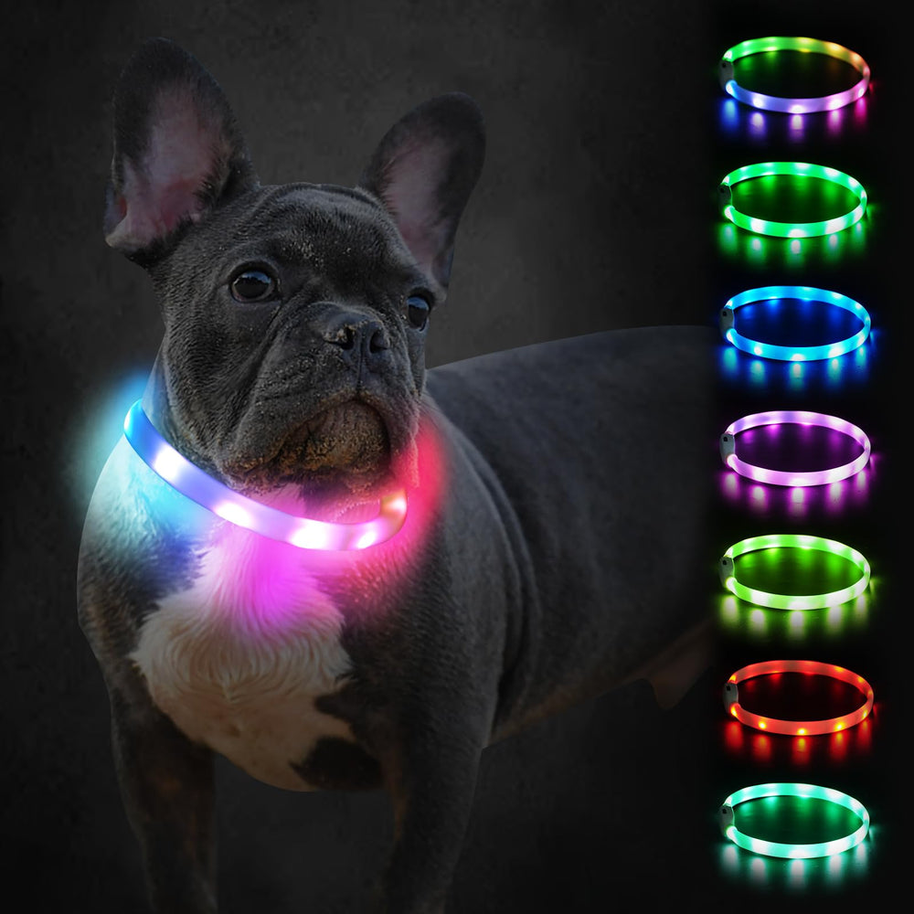 Joytale light up dog collar glows for safer night walks.