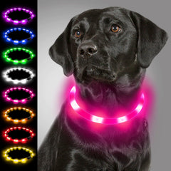 Joytale light-up dog collar visible at night for safer night walks.
