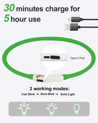 Joytale Light Up Dog Collar rainproof silicone for outdoor use.