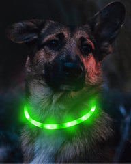 Joytale Light Up Dog Collar three glow modes for visibility.