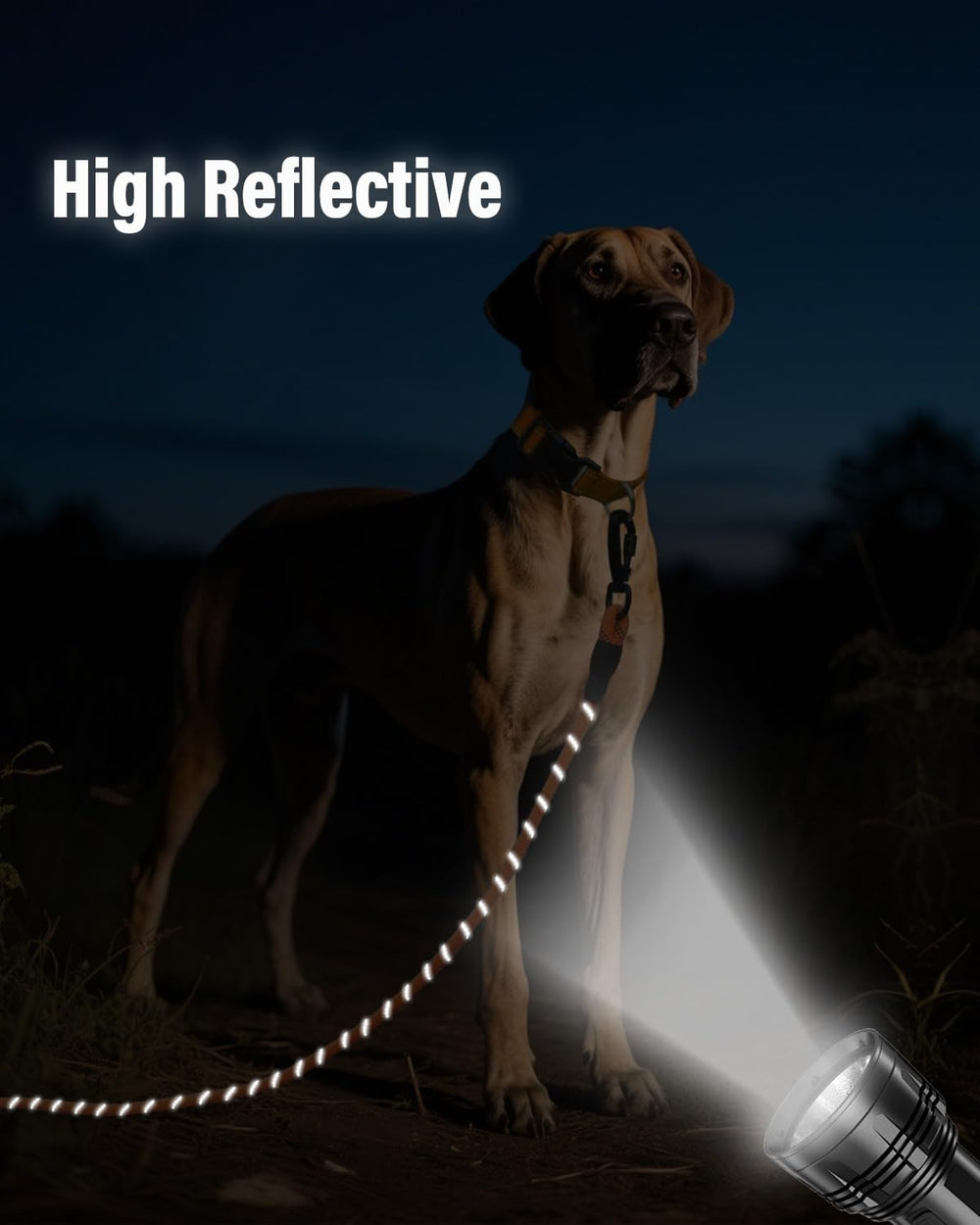 Joytale long leash reflective thread improves nighttime visibility for safety
