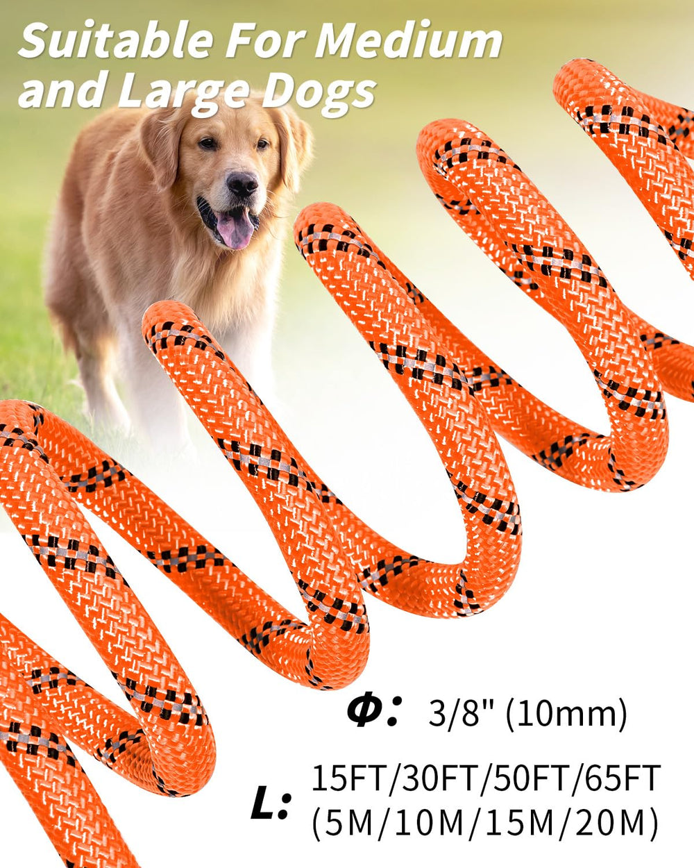 Joytale long leash outdoor usage shows versatility for camping and beach