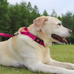 Joytale Martingale Collar adjustable-fit design ensures snug, customizable comfort.
