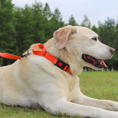 Joytale Martingale collar adjustable neck size range 10.5–25 inches.