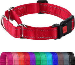 Joytale Martingale Collar closeup highlights durable nylon for daily training.