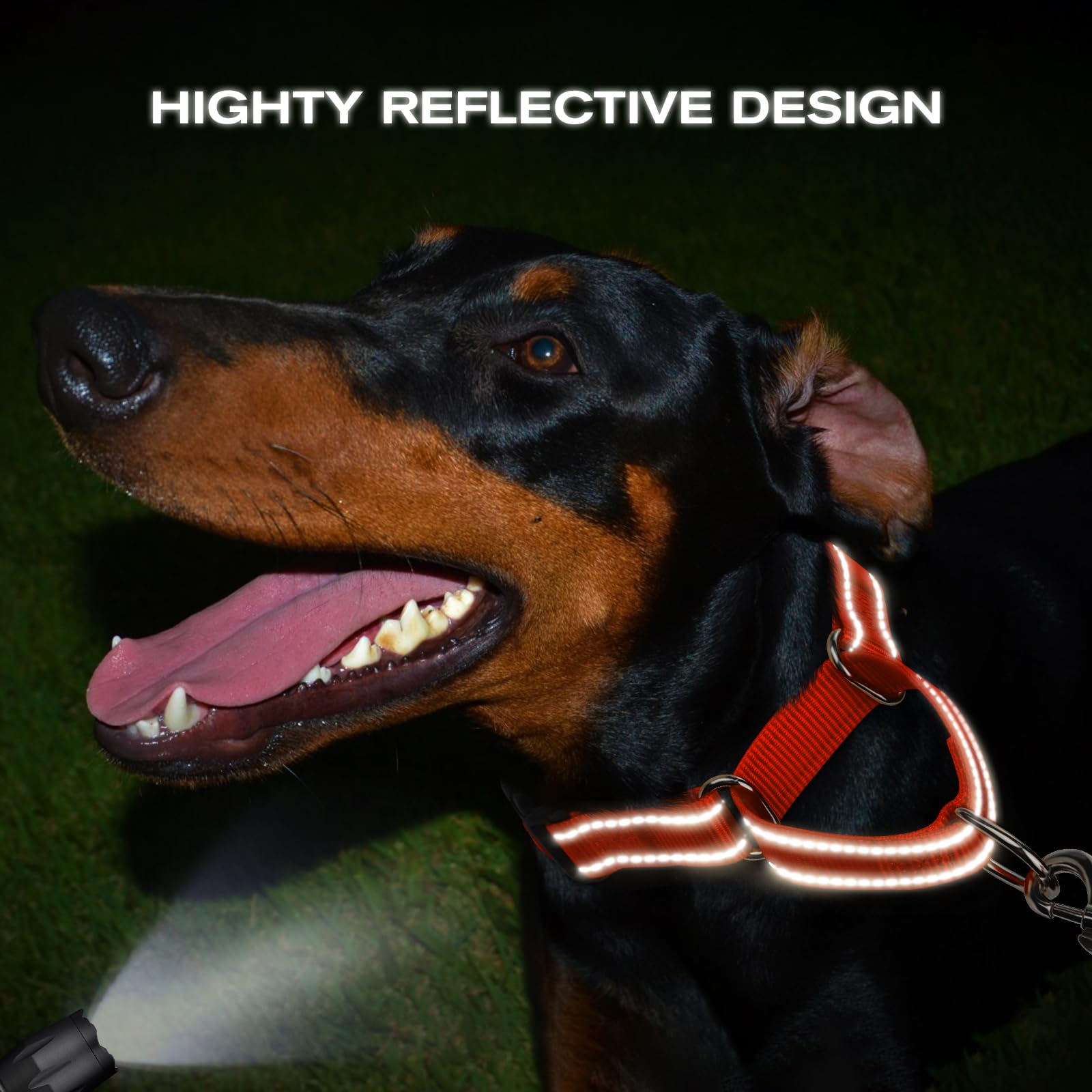 Joytale Martingale collar durable nylon strap for daily wear and training.