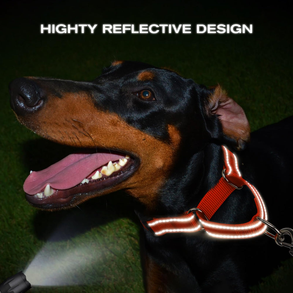 Joytale Martingale collar durable nylon strap for daily wear and training.