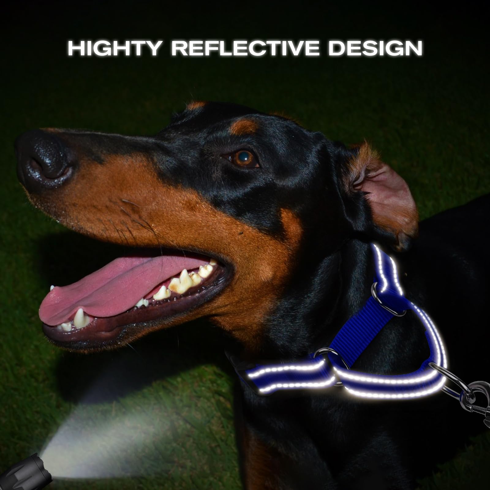 Joytale martingale collar durable nylon construction withstands daily wear and rough training
