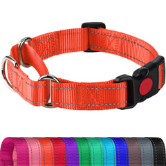 Joytale Martingale collar orange front view highlighting reflective safety for night walks.