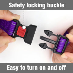 Joytale martingale collar purple adjustable fit for secure, comfortable daily walking
