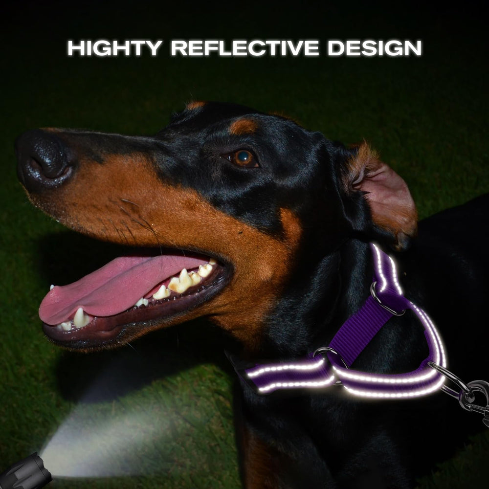 Joytale martingale collar purple training tool helps correct pulling gently