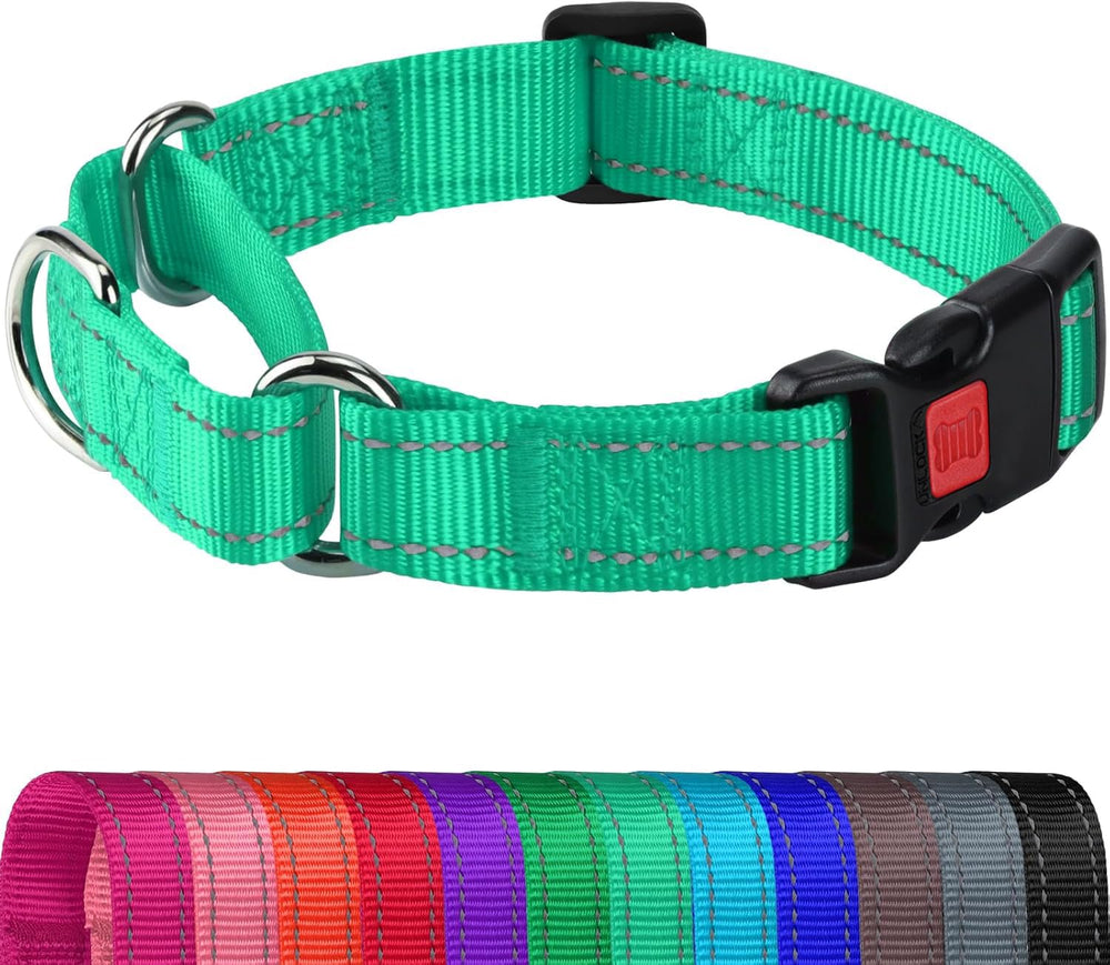Joytale Martingale Collar teal closeup highlighting durable nylon and quick-release buckle for safety.