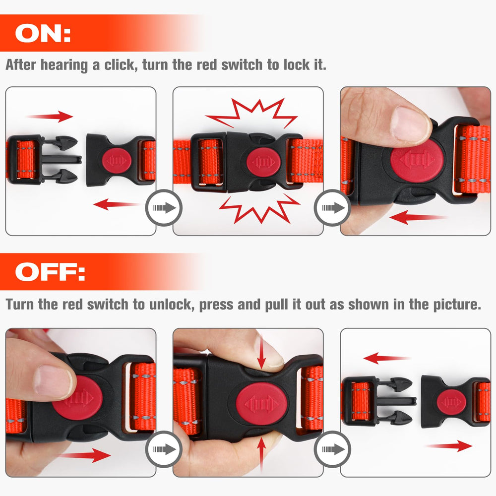 Joytale Martingale collar training-walk scenario showing gentle correction during a walk.