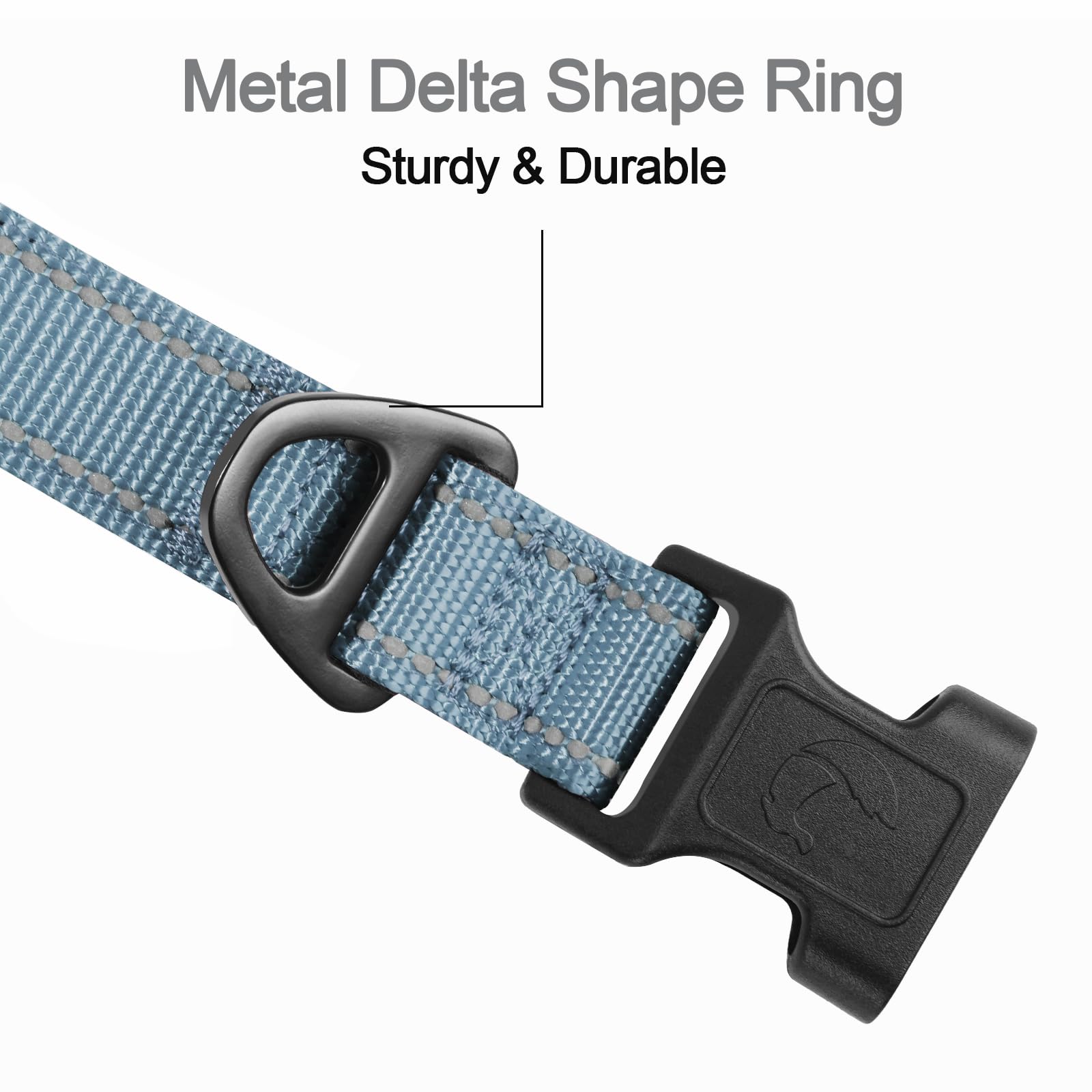 Joytale metal D-ring collar demonstrates durable leash attachment for safety.