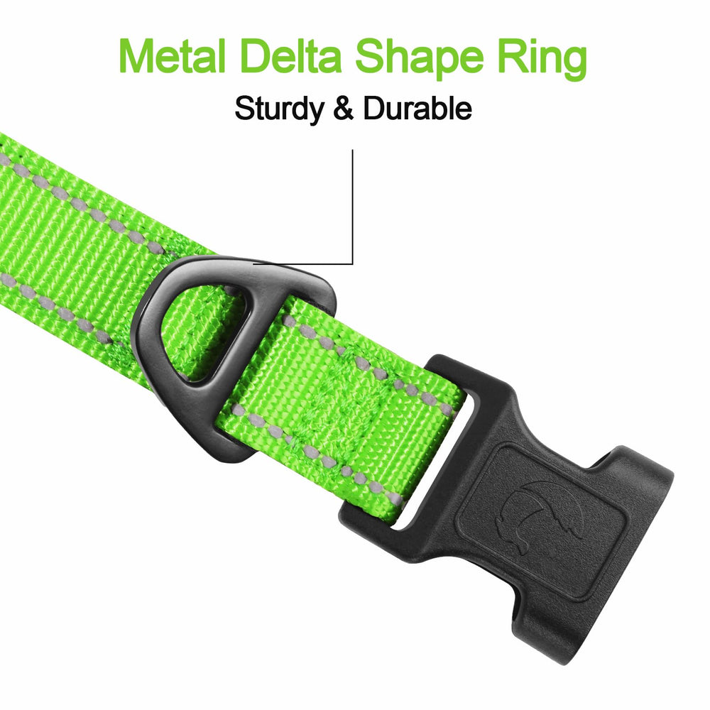 Joytale metal D-ring green rust-resistant, secure leash attachment for outdoor adventures