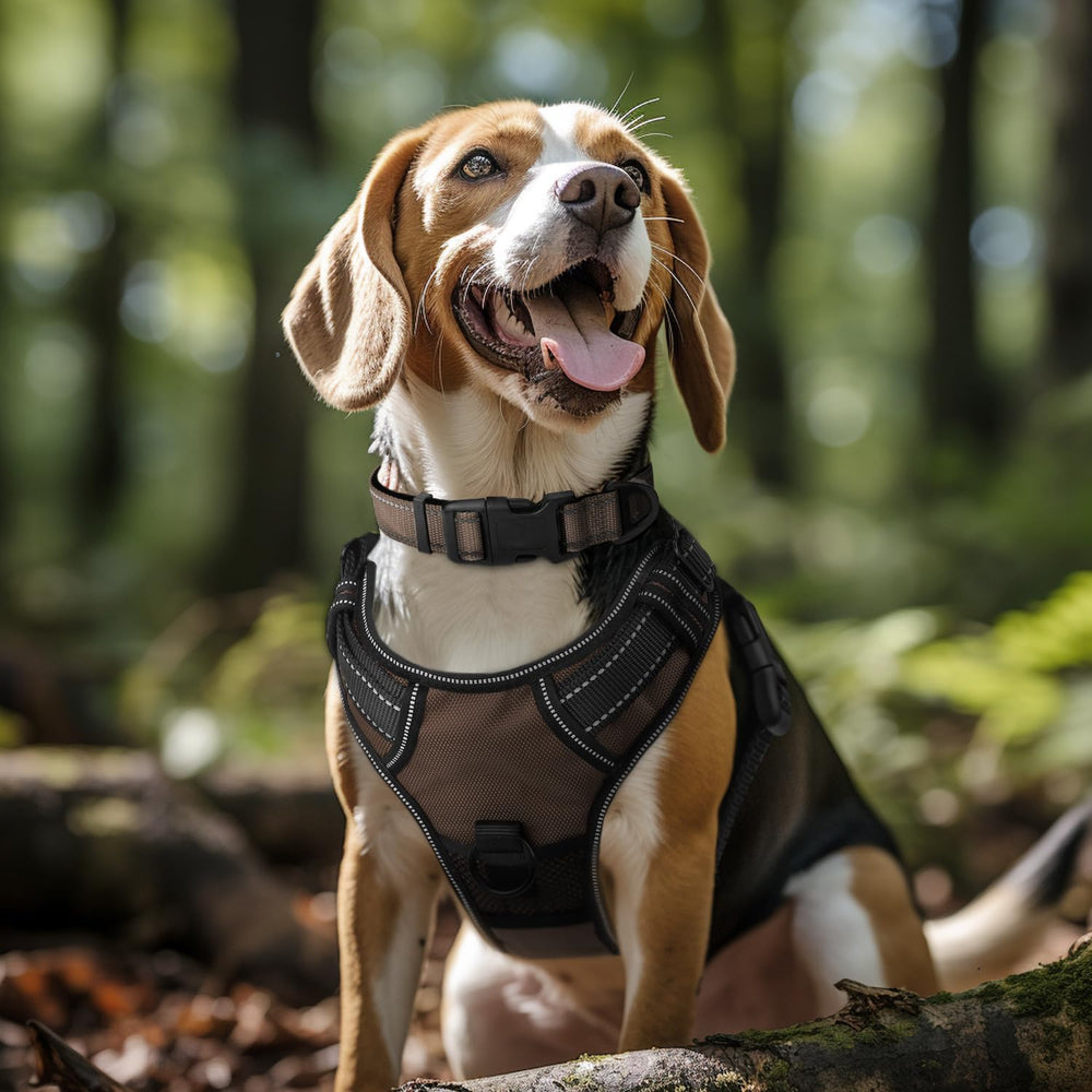 Joytale neoprene-padded-collar soft comfort against chafing on hikes.