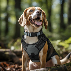 Joytale neoprene padded collar close-up showing soft padding and comfort.