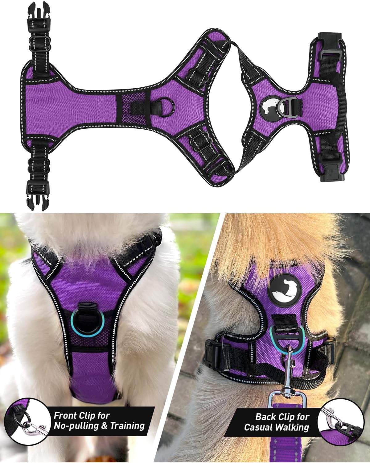 Joytale no-pull harness back clip for traditional leash setup.