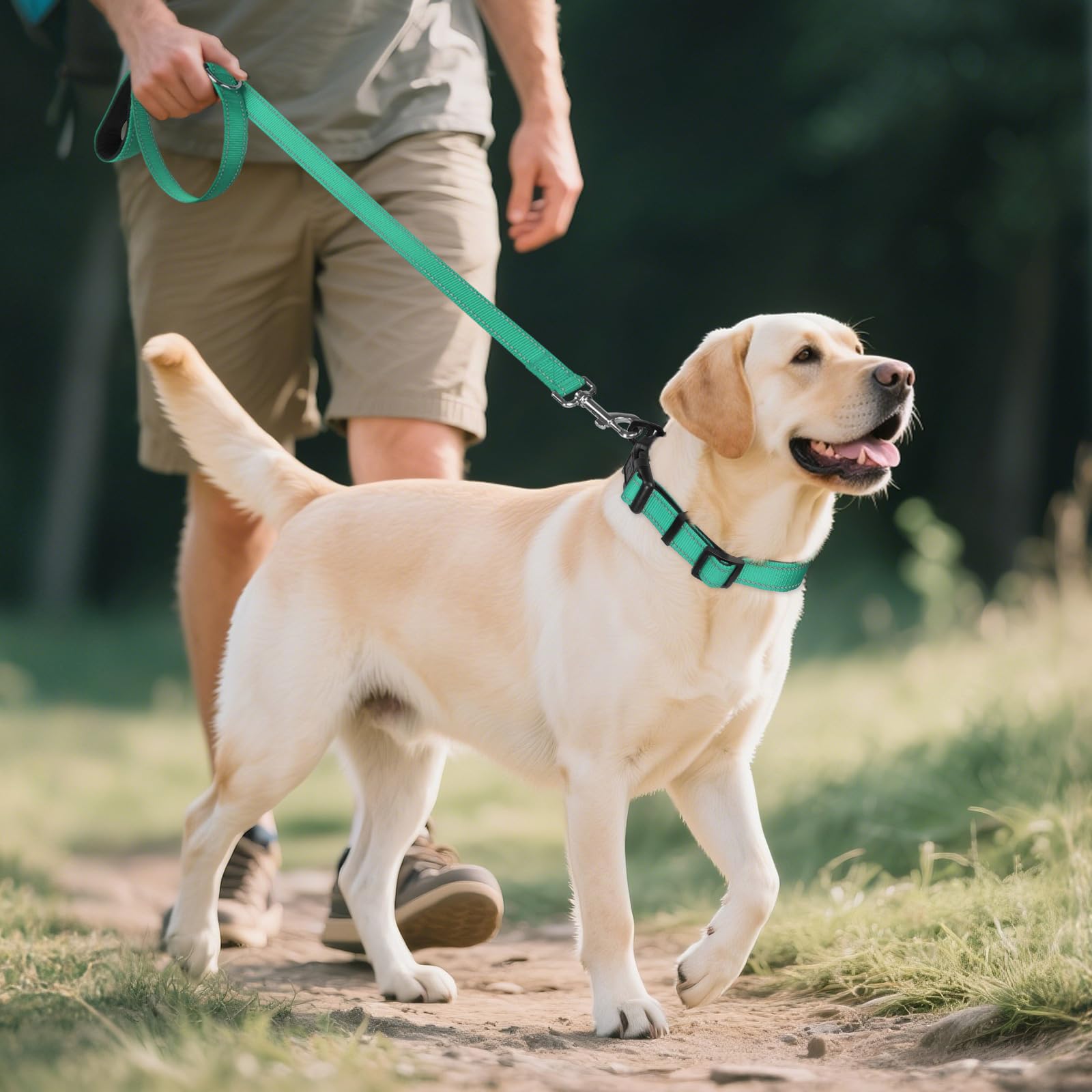 Joytale outdoor-ready teal collar suitable for hiking and swimming adventures.