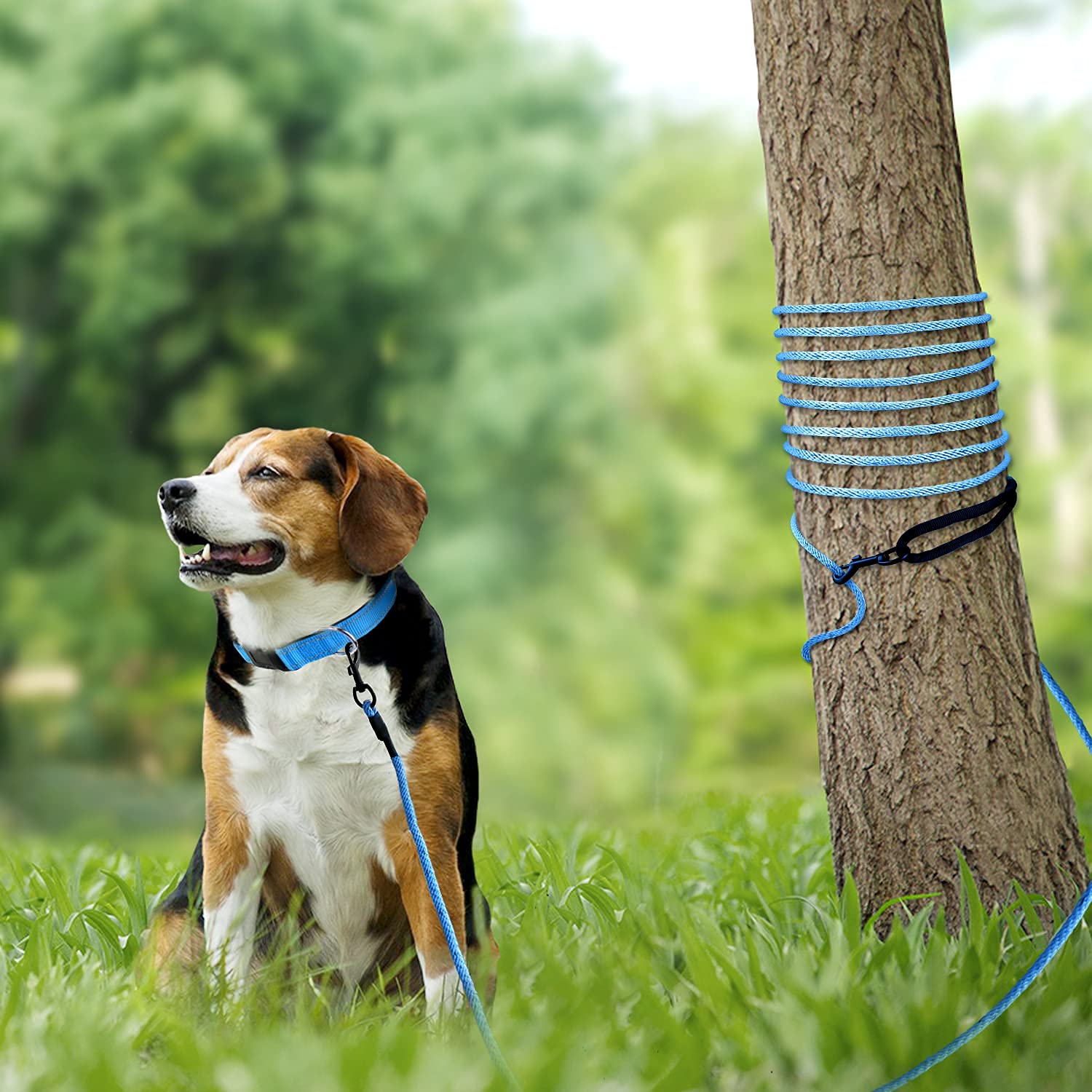 Joytale padded-handle leash emphasizes comfort when dogs pull during hikes and beach trips
