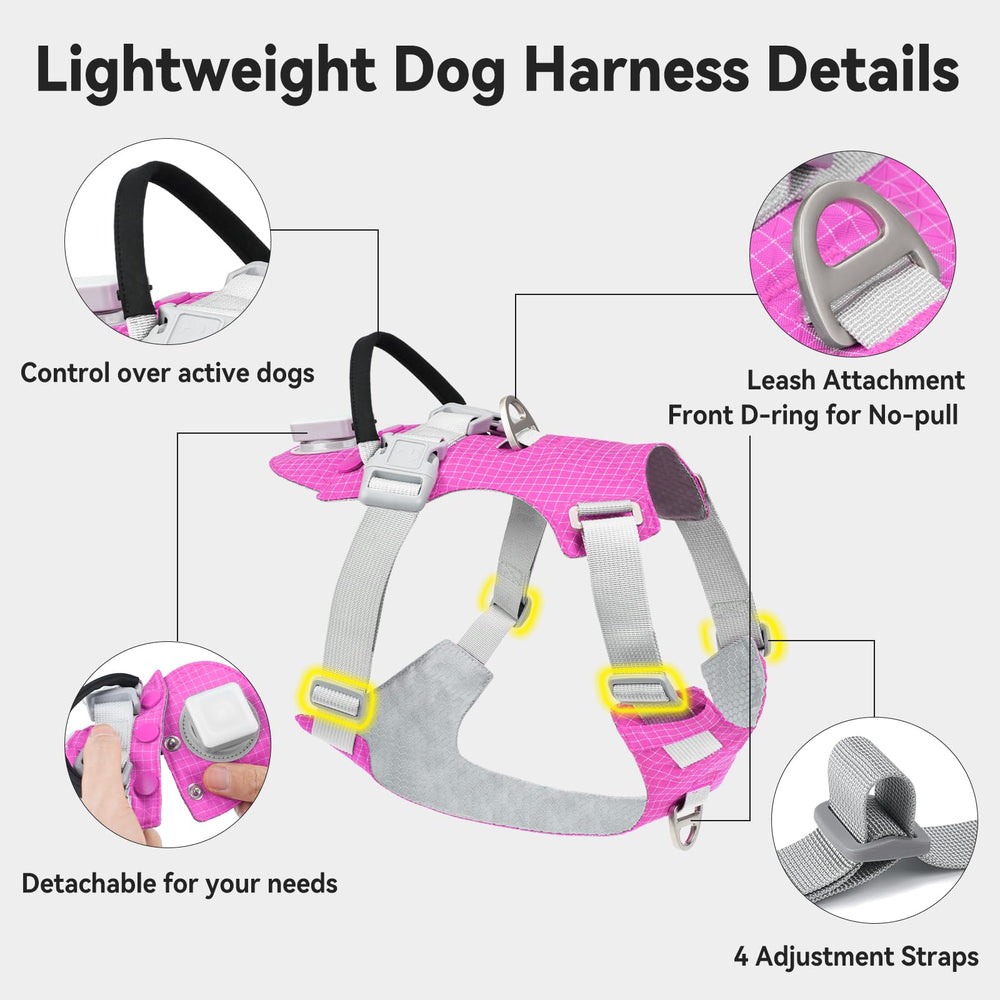 Joytale quick-release buckle no-pull design for easy handling