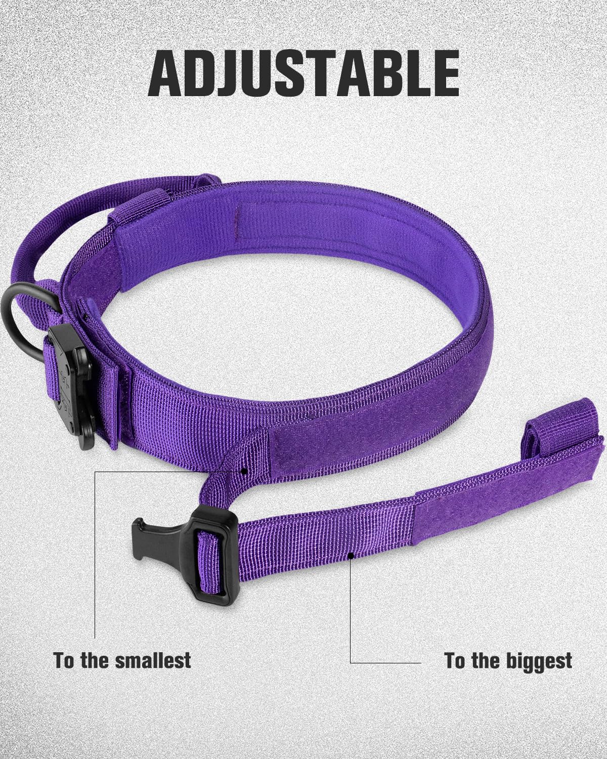 Joytale quick-release zinc buckle collar for easy on/off in daily use.
