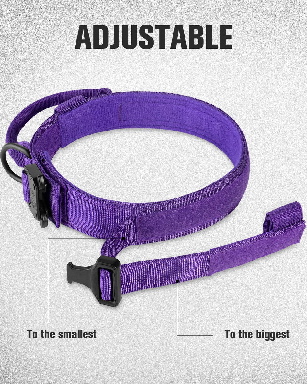 Joytale quick-release zinc buckle collar for easy on/off in daily use.