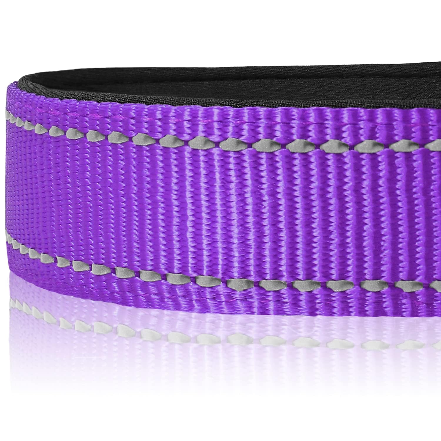 Joytale quick-release ABS buckle close-up for easy on/off during walks.