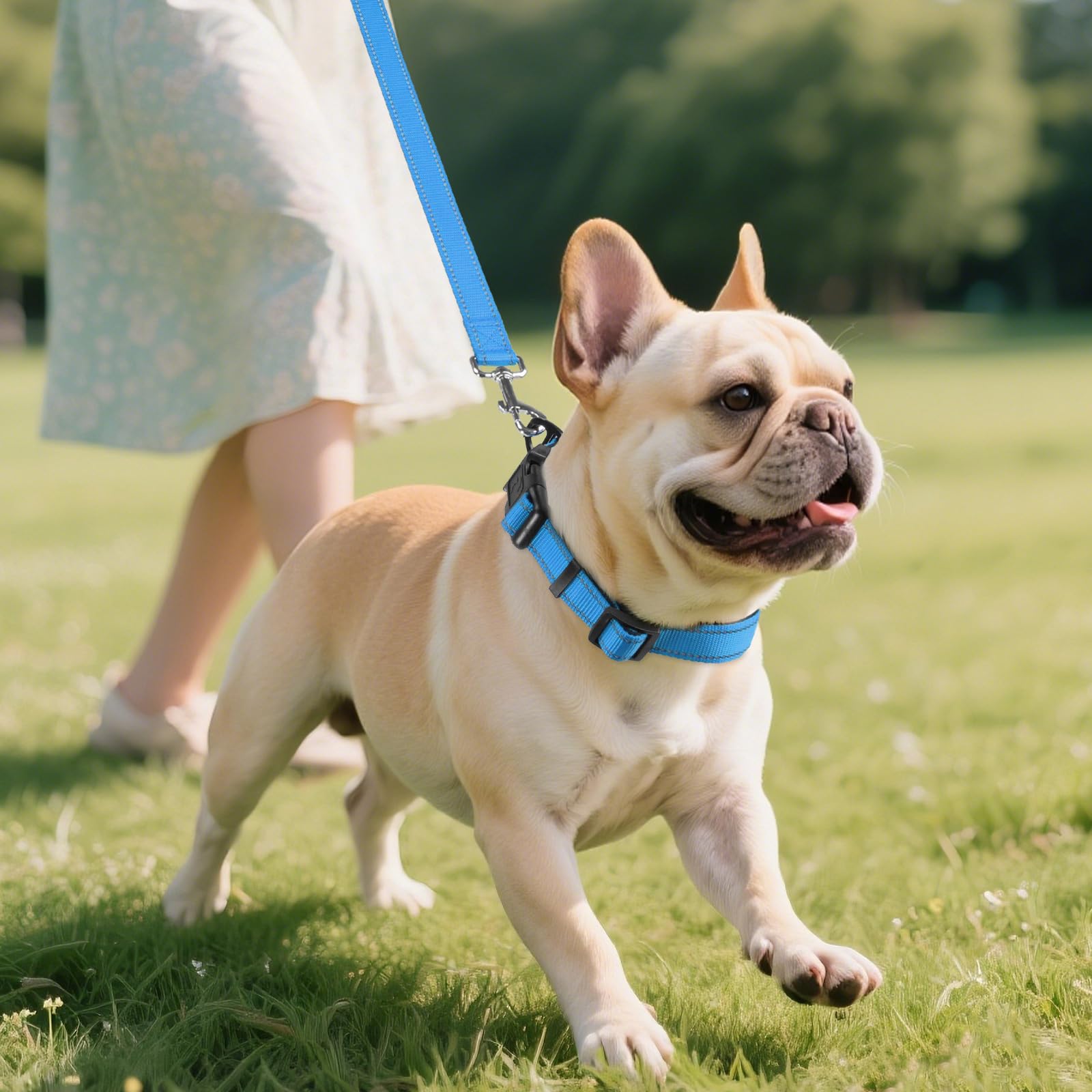 Joytale Reflective Dog Collar ABS buckle quick-release for easy on off
