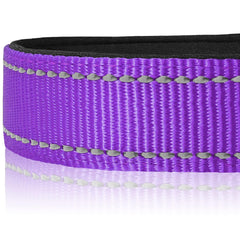 Joytale Reflective Dog Collar quick-release buckle demonstrates easy adjustment and on-off convenience