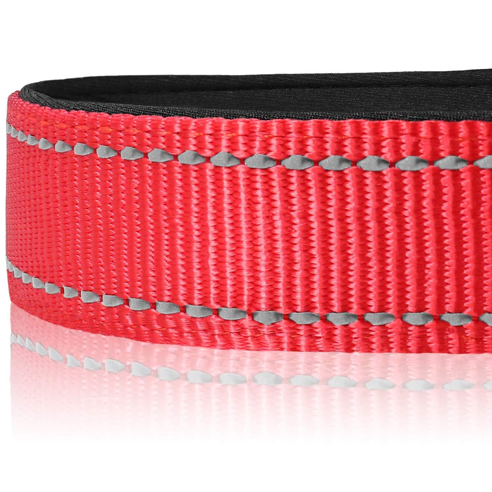 Joytale Reflective Dog Collar highlighting breathable nylon for daily wear.