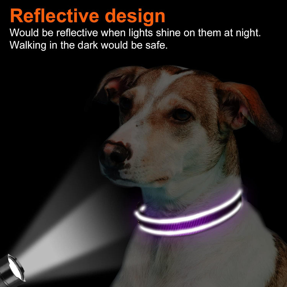 Joytale Reflective Dog Collar metal D-ring hardware showcases rust-resistant durability