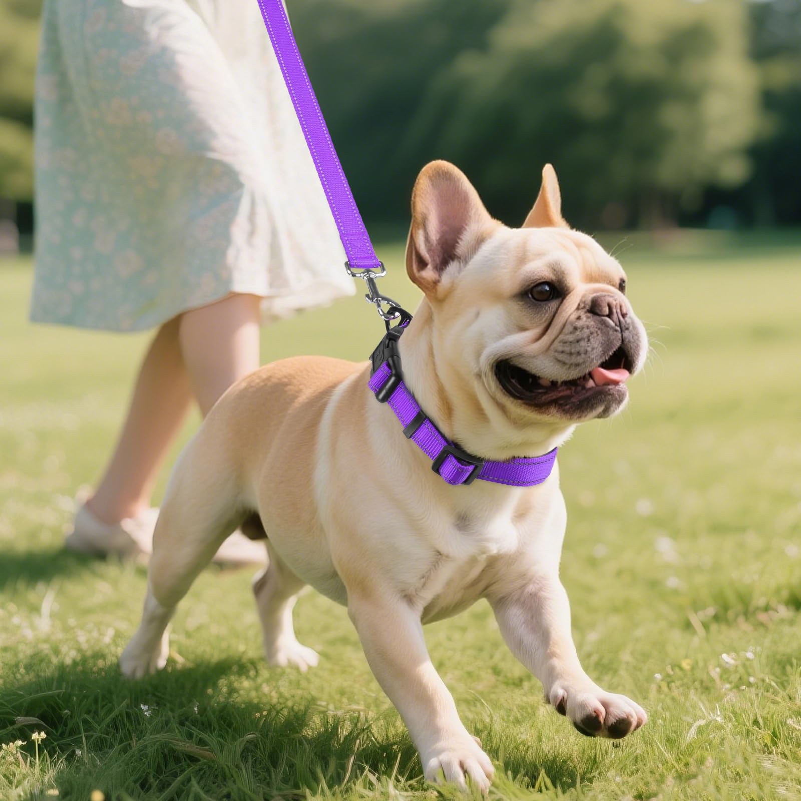Joytale Reflective Dog Collar shown during hiking and swimming for durable all-day wear